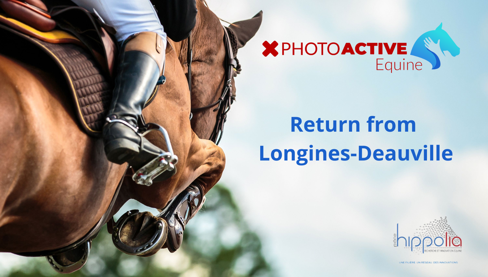 PhotoACTIVE Equine Back from Longines-Deauville!