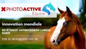 brochure photoactive equine